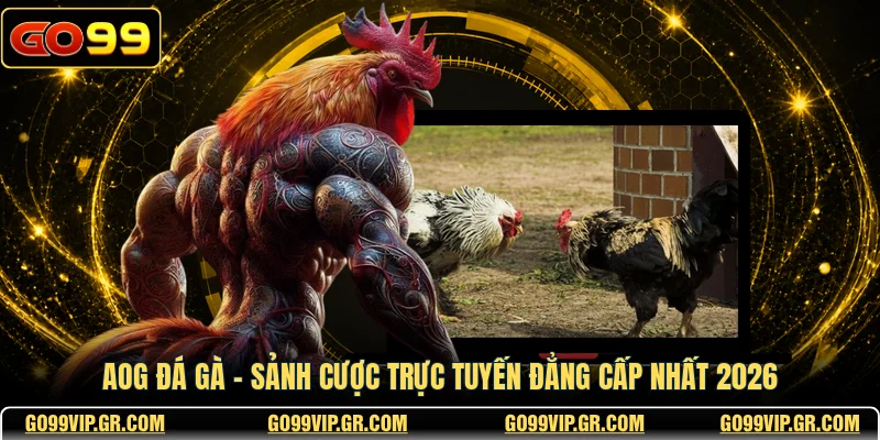 AOG Đá Gà - Sảnh Cược Trực Tuyến Đẳng Cấp Nhất 2026 AOG Đá Gà